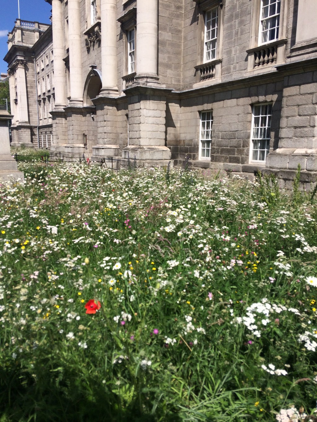 The Life that Lives on&nbsp;Campus