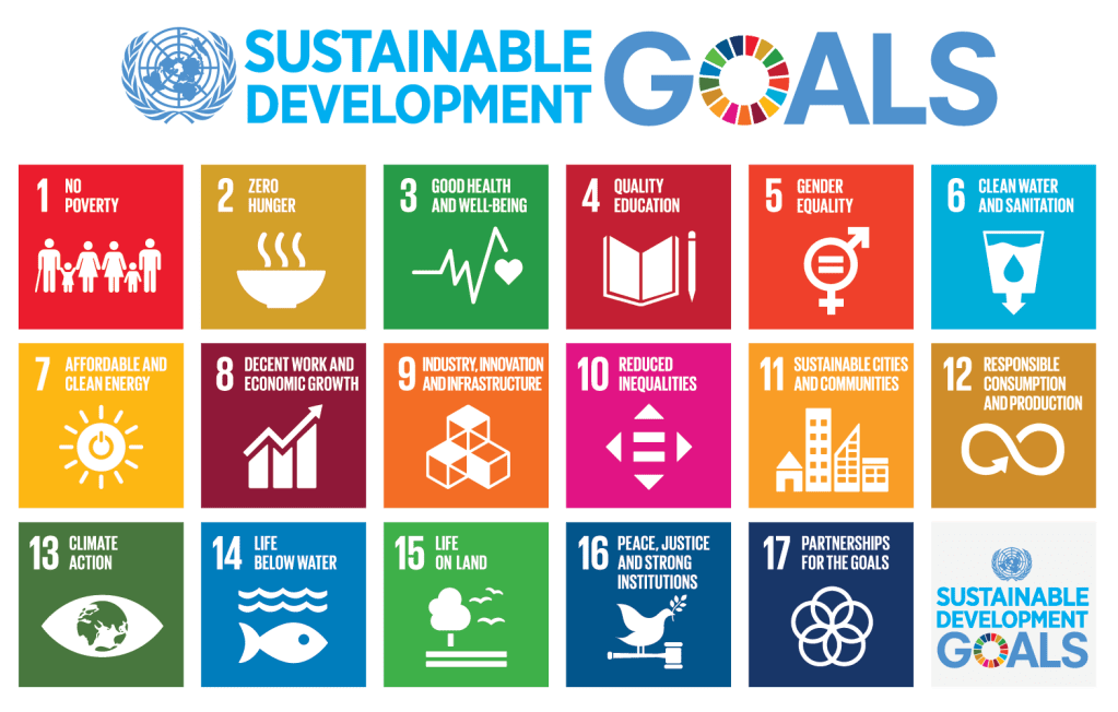 UN Sustainable Development Goals&nbsp;Explained