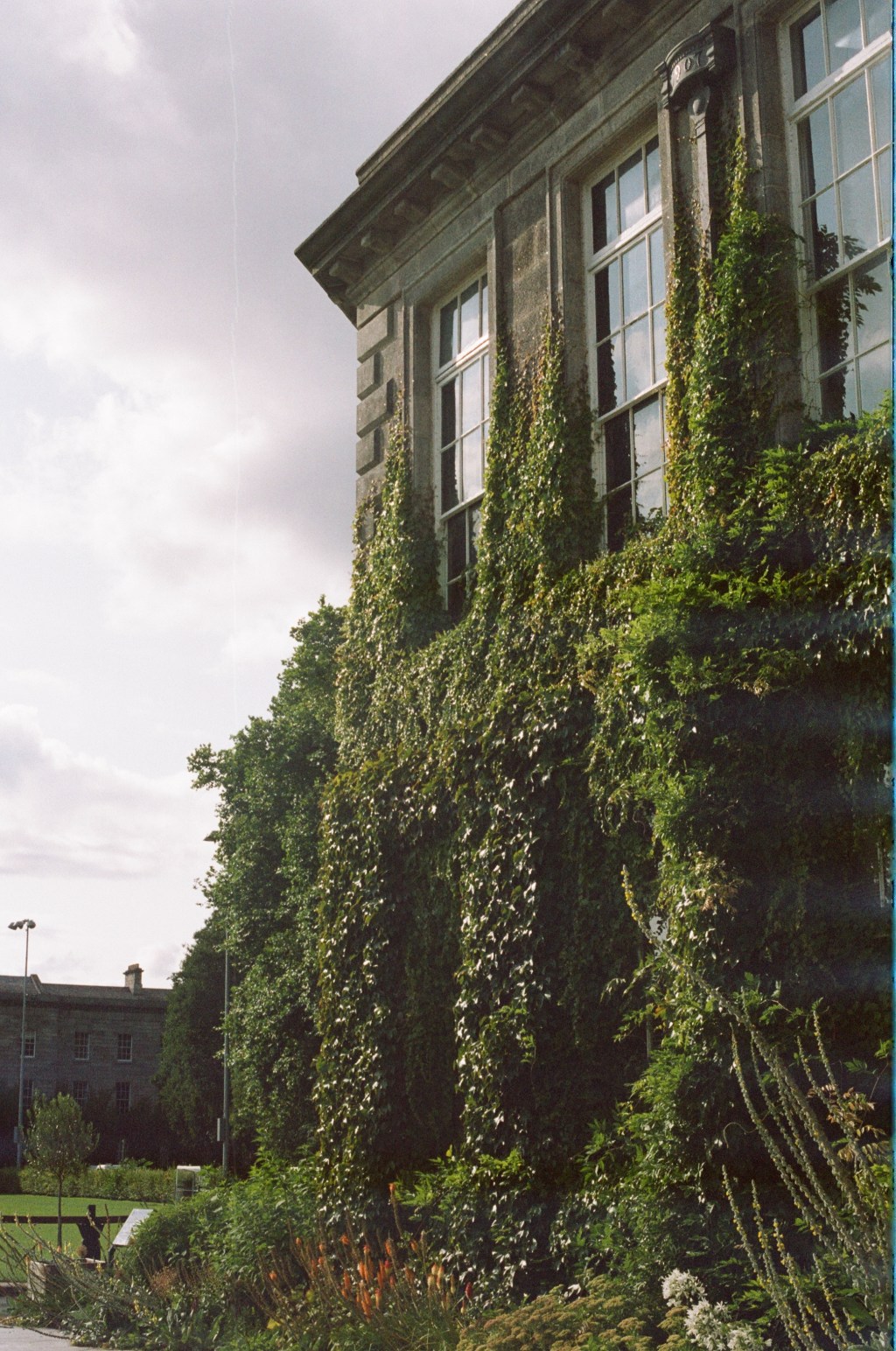 How to Get Involved in Environmentalism on&nbsp;Campus