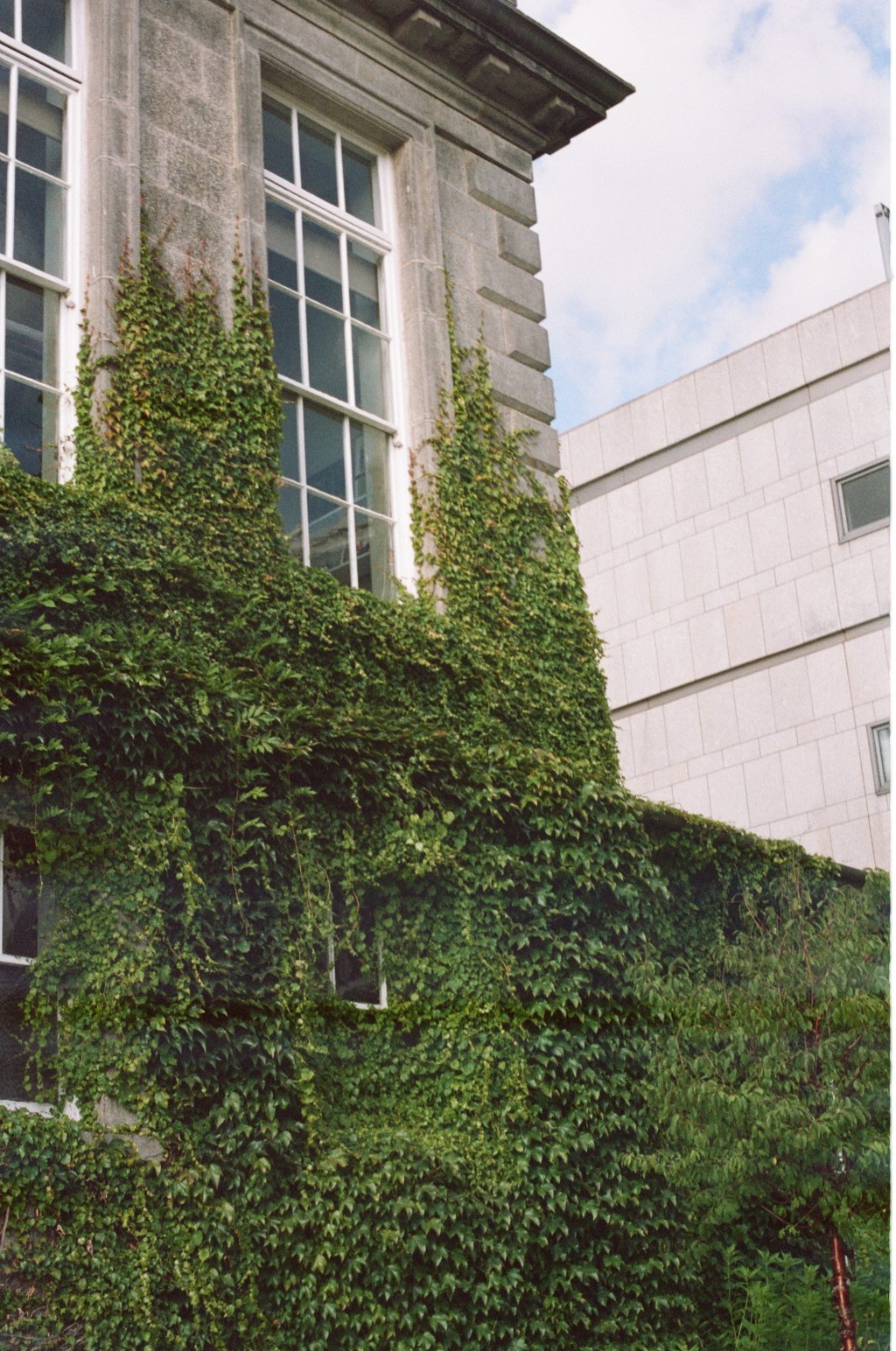 Interview with Yvonne&nbsp;Buckley