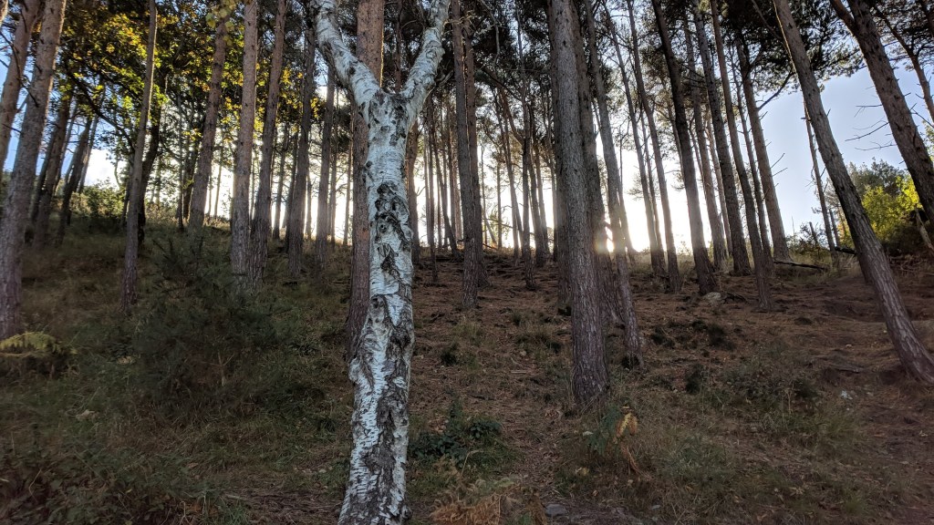 Nature is a Human&nbsp;Right