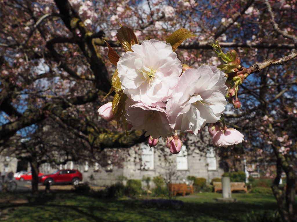 Spring is in the&nbsp;Air