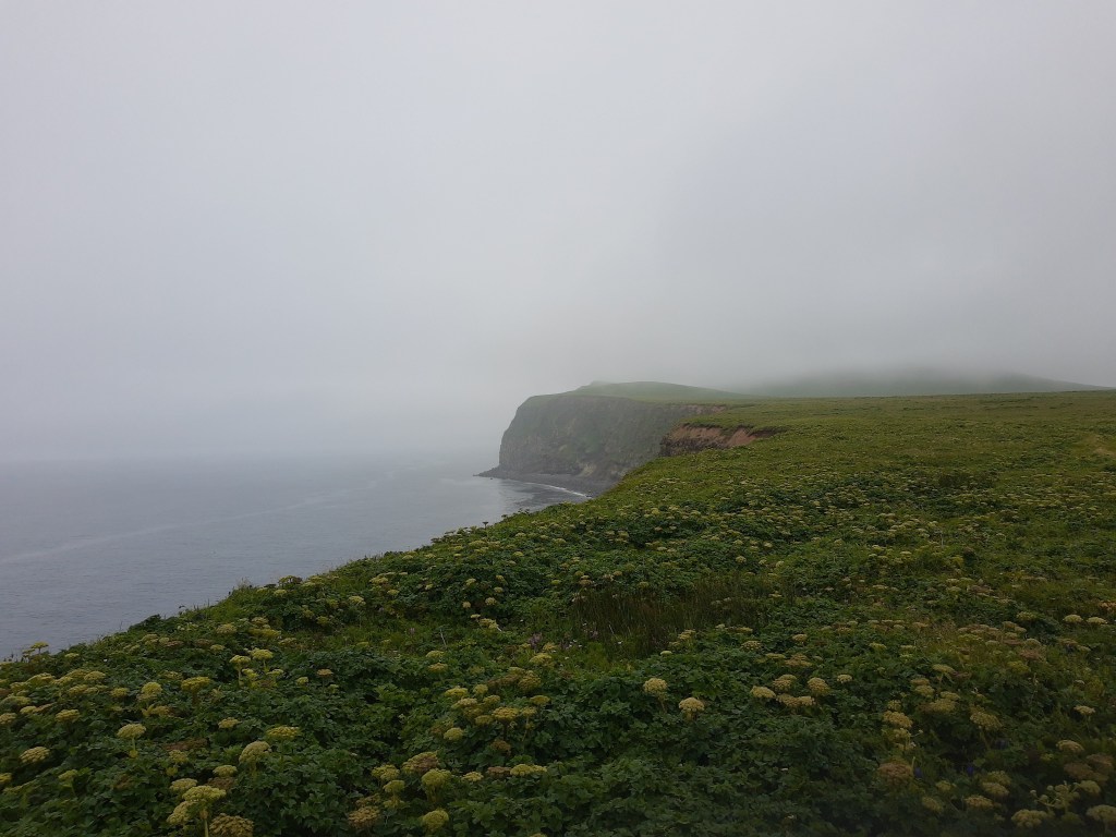 Challenges and Opportunities for Sustainable Agriculture in&nbsp;Ireland