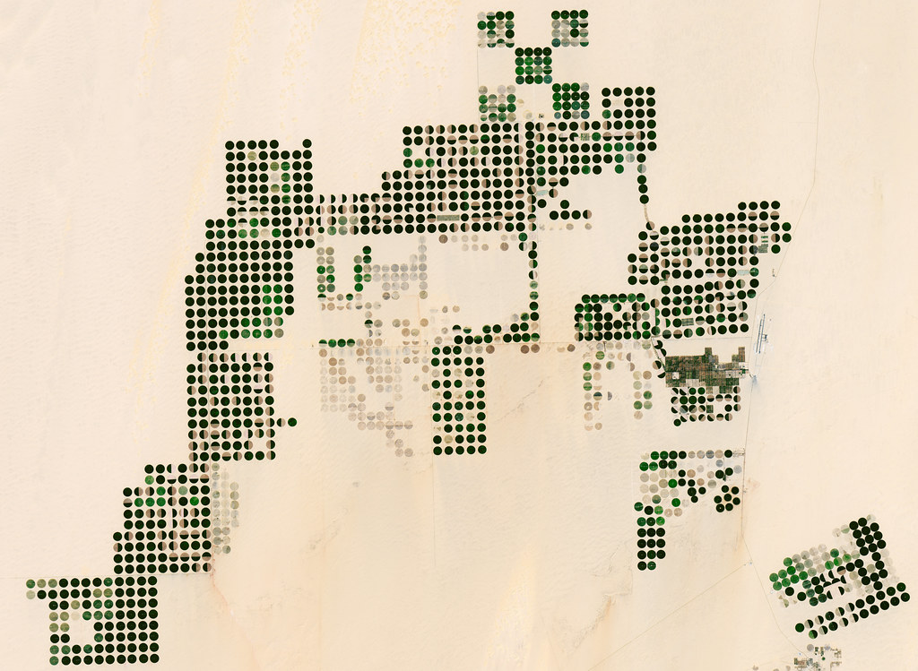 Behind the Great Green Wall 