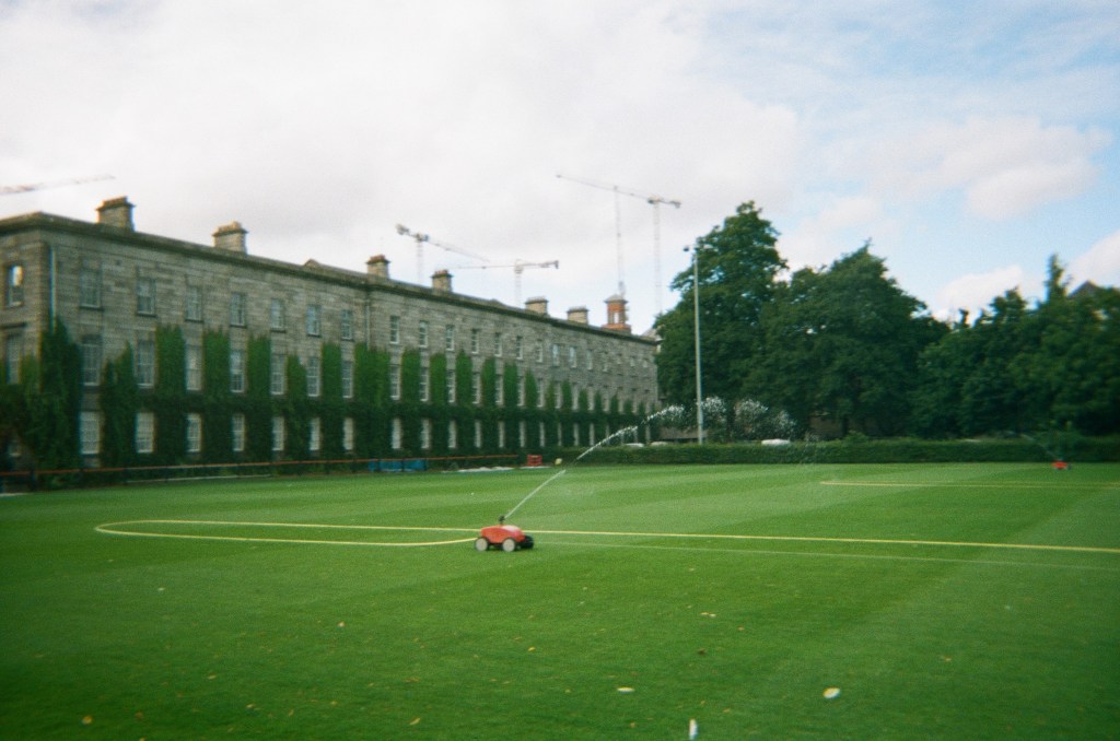 COP27: What You Need to Know 