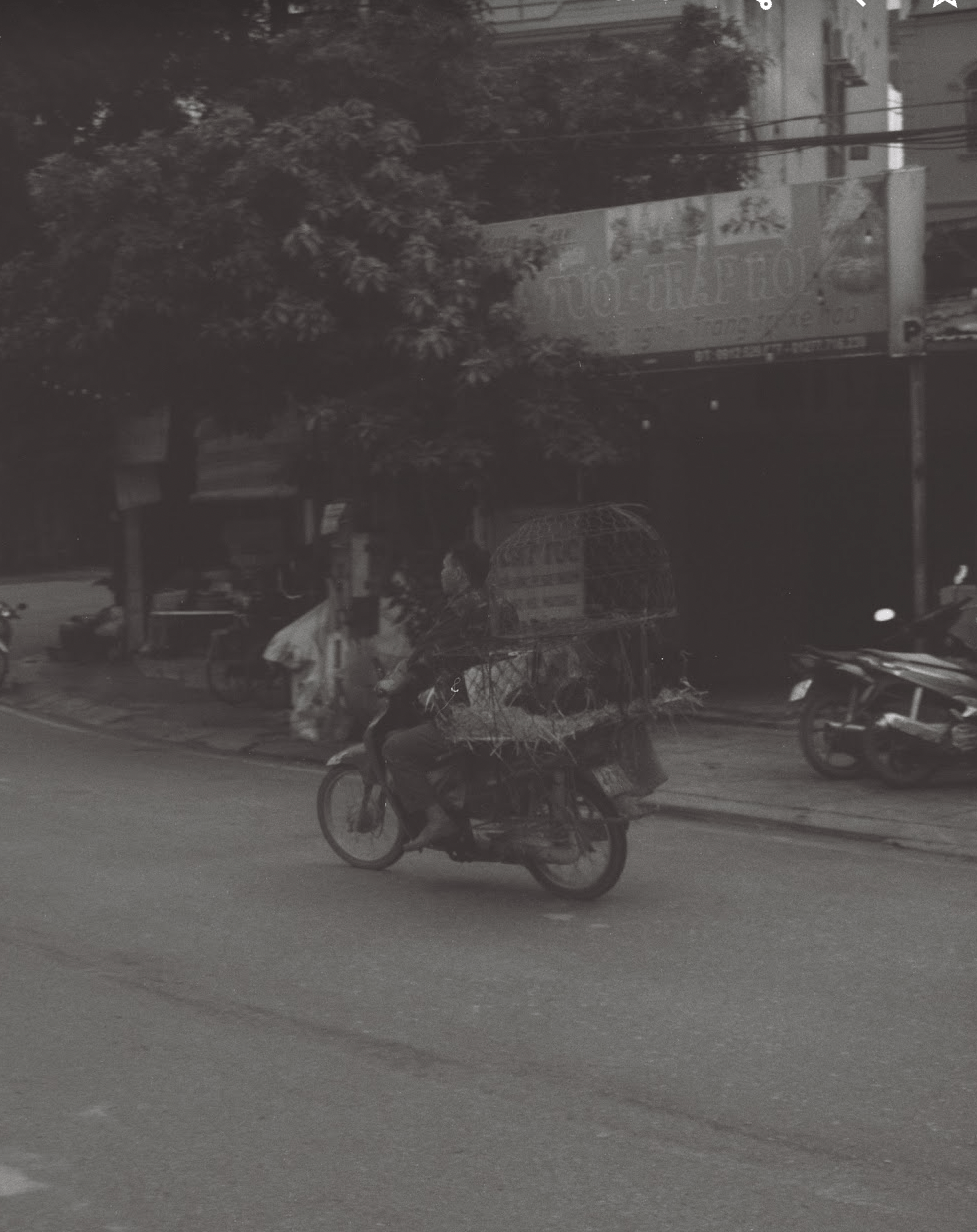 Carbon Credit Offsetting