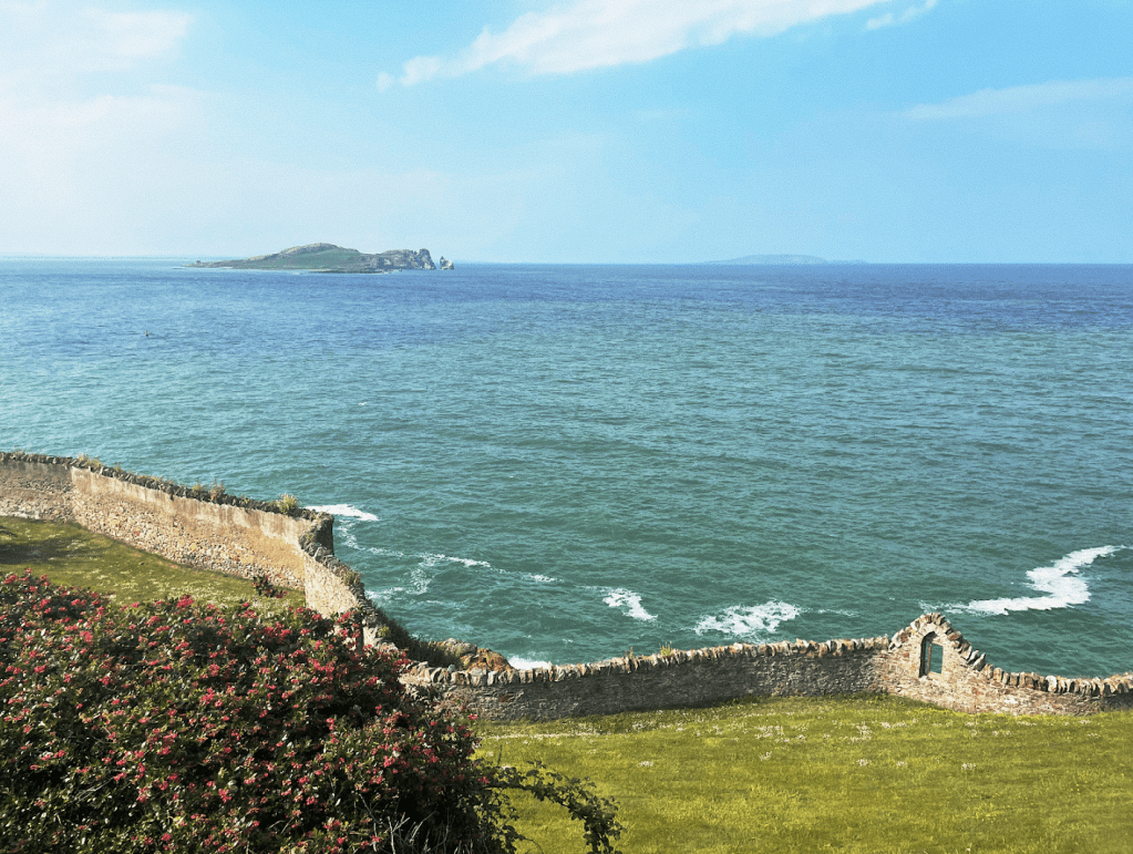 Energy-Saving Naps: What has the green party achieved since getting into power?&nbsp;–