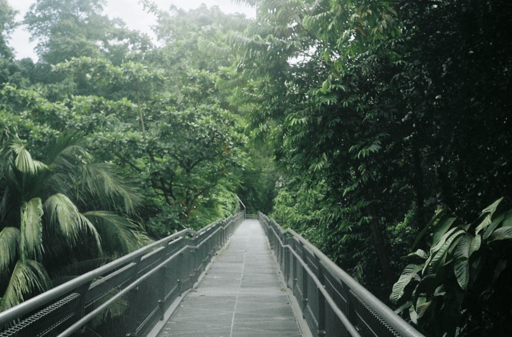 Ecourbanism: Finding our way back to&nbsp;nature