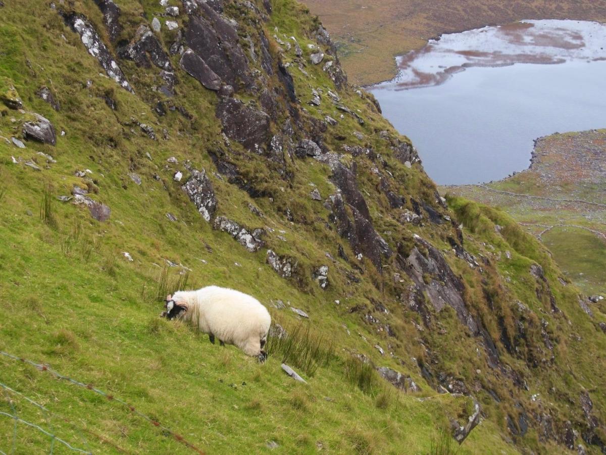 Novel Ecosystems: Interview with Dr. Marcus&nbsp;collier