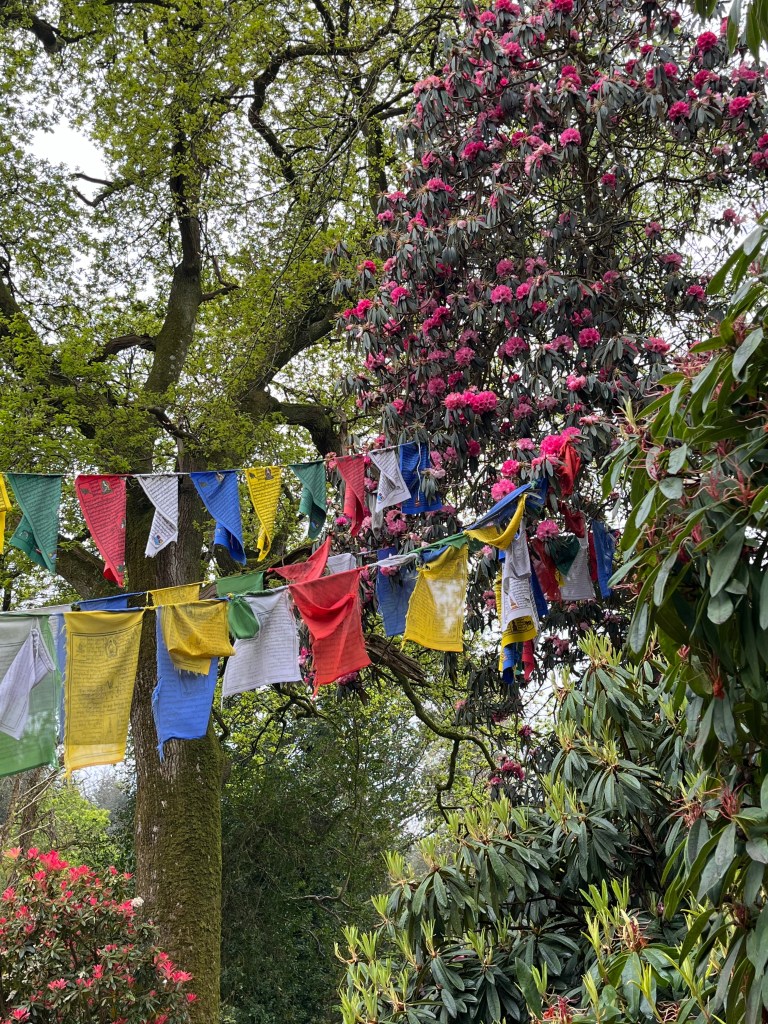 The Truth Behind So-Called “Pollinator Friendly” Plants: What Garden Centres Don’t Tell&nbsp;You