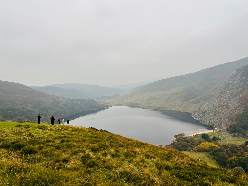 Green Labs: Interview with Dumitru&nbsp;Anton