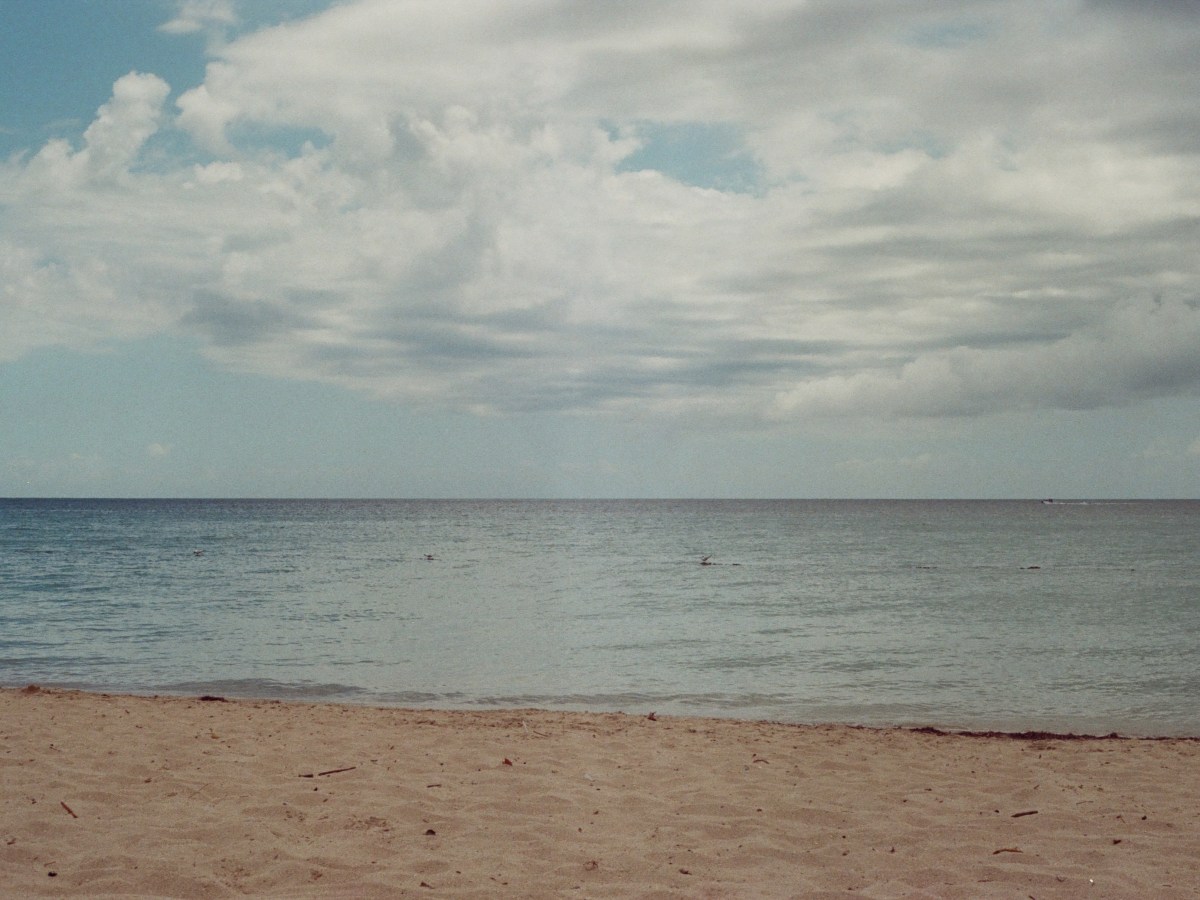 Restoring Landscapes in a Colonial Context: Coastal Restoration, Conservation and Cleanup in Puerto&nbsp;Rico